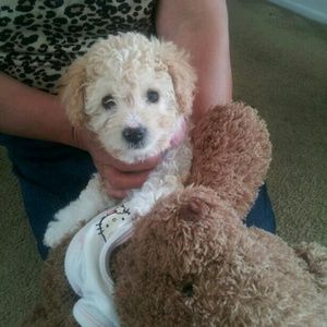 Meet your Posher, Crystal